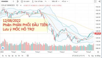 PHIÊN PHÂN PHỐI ĐẦU TIÊN - NÊN CHỌN CỔ PHIẾU NÀO?