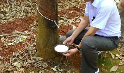 Quan điểm nhà đầu tư