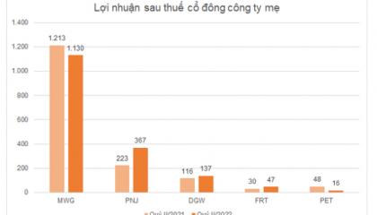 Lợi nhuận doanh nghiệp bán lẻ quý II giảm tốc, triển vọng quý III tăng trưởng do nền thấp cùng kỳ