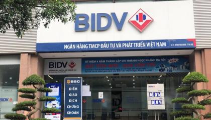 BID: Bán khoản nợ của Vertical Synergy giá 381 tỷ đồng, tài sản đảm bảo là 14 QSDĐ tại Tp.HCM