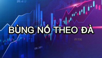 Kiểm định lý thuyết bùng nổ theo đà trong lịch sử thị trường chứng khoán Việt Nam